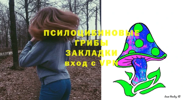 ПСИЛОЦИБИНОВЫЕ ГРИБЫ Баксан