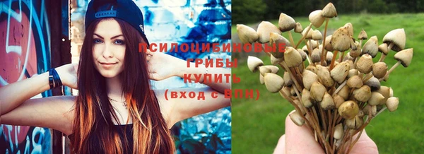 ПСИЛОЦИБИНОВЫЕ ГРИБЫ Баксан