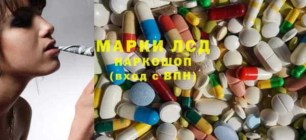 ПСИЛОЦИБИНОВЫЕ ГРИБЫ Баксан