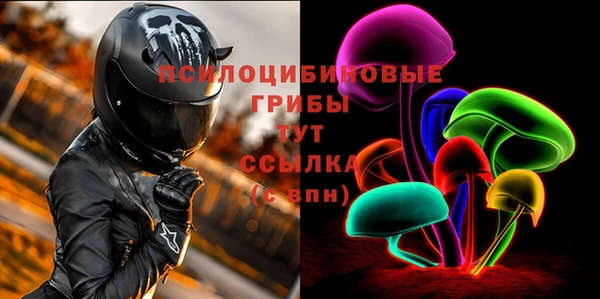 mix Пересвет