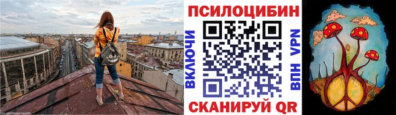 Галлюциногенные грибы мицелий  darknet официальный сайт  Вязьма 
